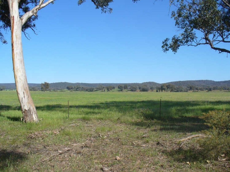 Middle Creek Road, Cowra NSW 2794