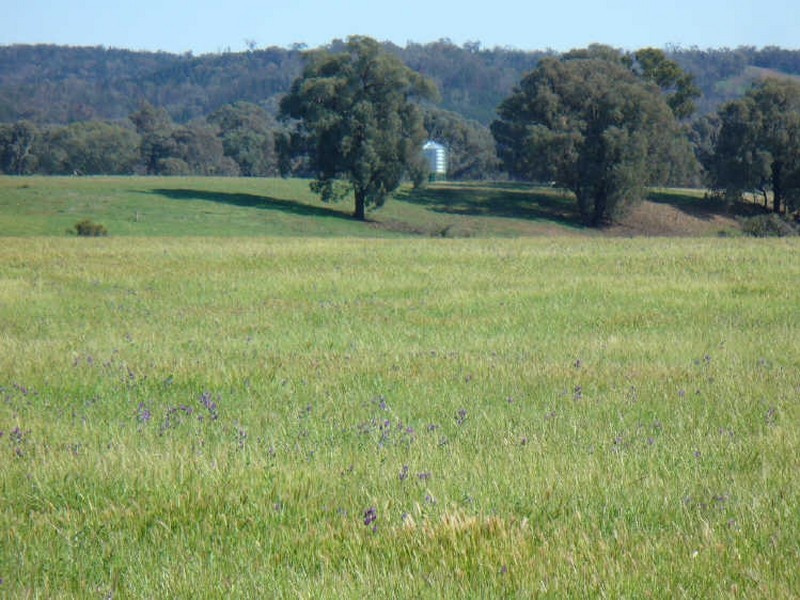 Middle Creek Road, Cowra NSW 2794