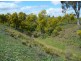 Lot 1 Mount McDonald Road, Cowra NSW 2794