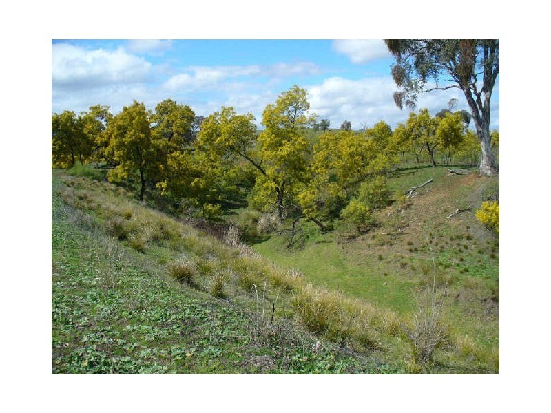Lot 1 Mount McDonald Road, Cowra NSW 2794