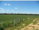 1149 Forbes Road, Cowra NSW 2794
