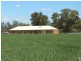 1149 Forbes Road, Cowra NSW 2794