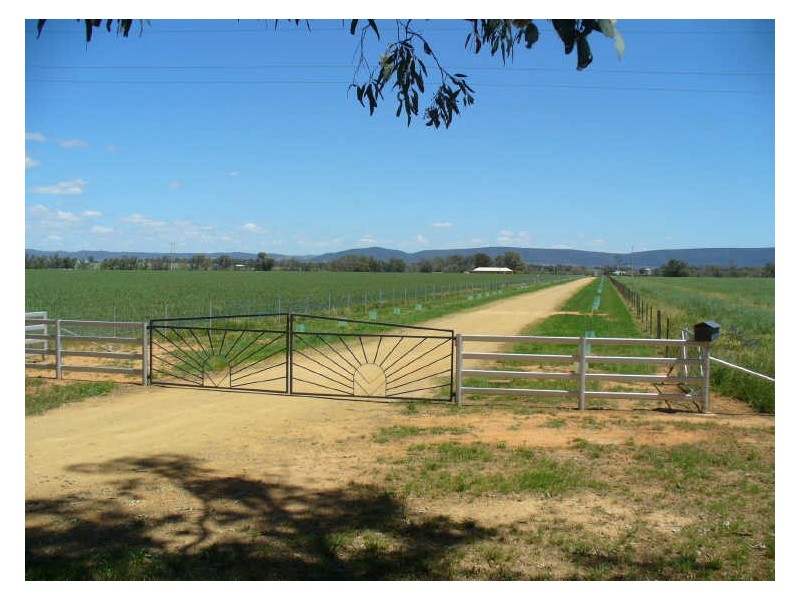 1149 Forbes Road, Cowra NSW 2794