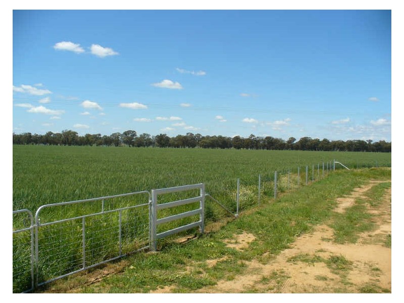 1149 Forbes Road, Cowra NSW 2794