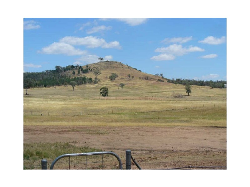Lot 10 Conimbla Road, Cowra NSW 2794