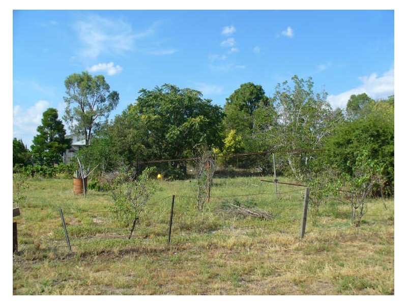 14 Walker Street, Cowra NSW 2794