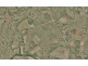 Lot  72 Camp Road, Cowra NSW 2794