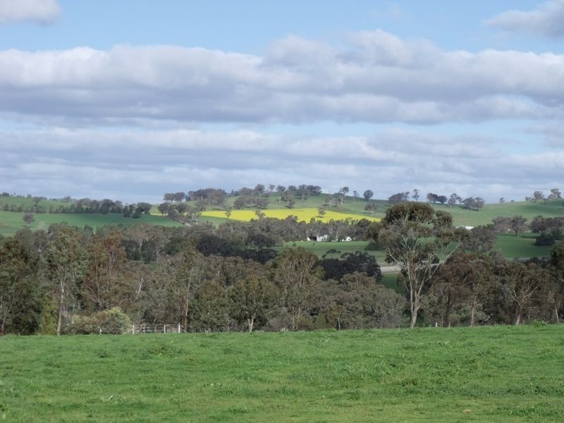 Horten Park, Woodstock NSW 2793