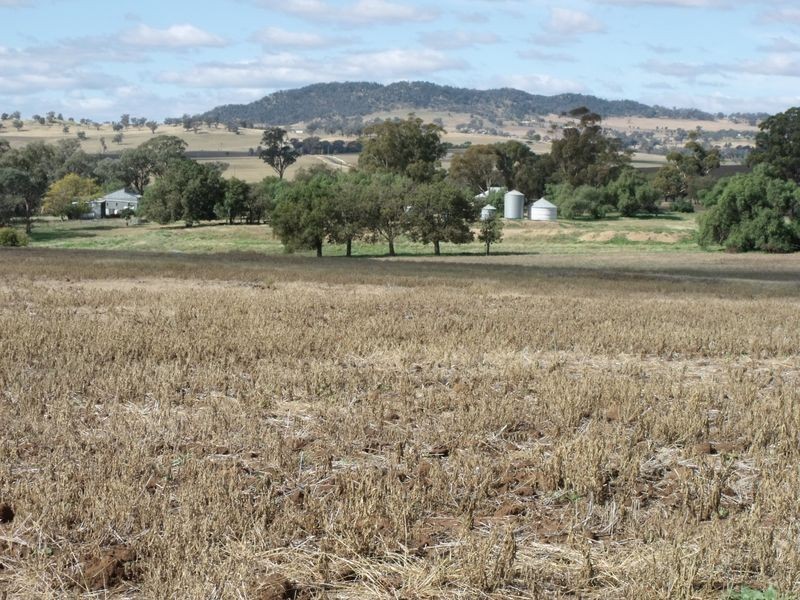 L 5 – 594 Pinemount Road, Cowra NSW 2794