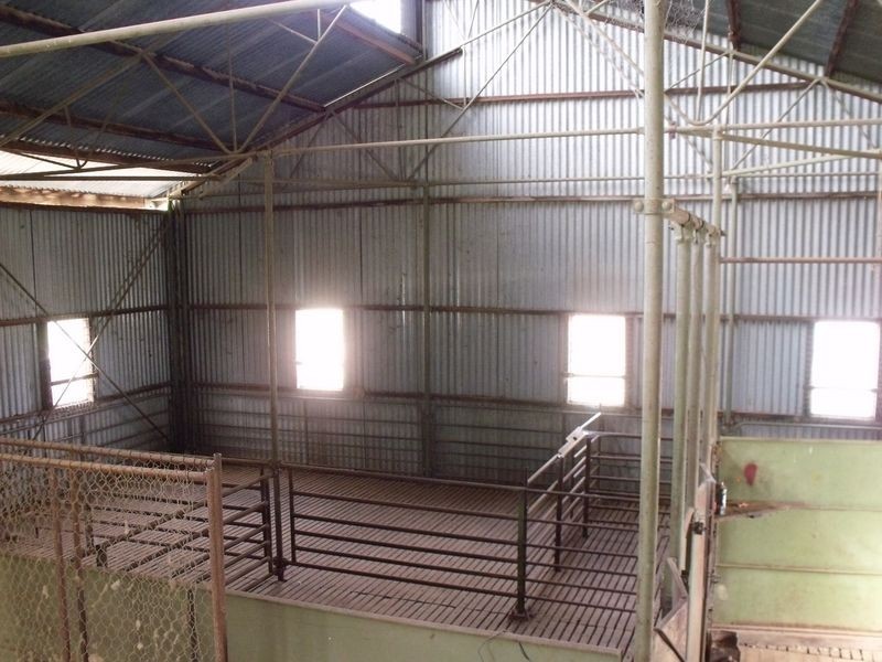 L 5 – 594 Pinemount Road, Cowra NSW 2794