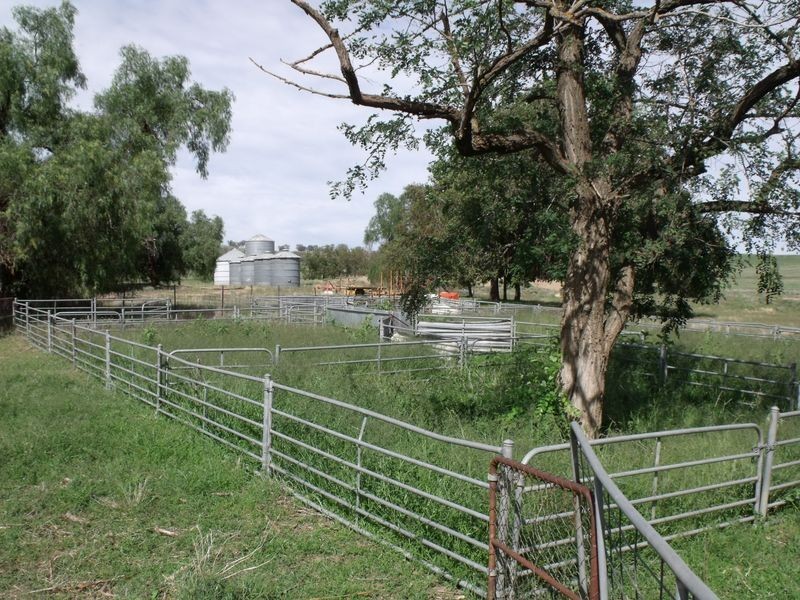 L 5 – 594 Pinemount Road, Cowra NSW 2794