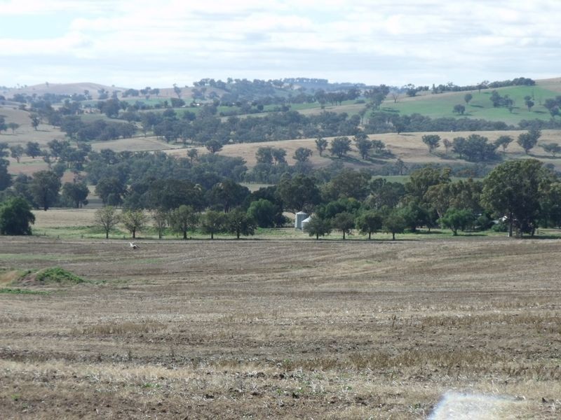 L 5 – 594 Pinemount Road, Cowra NSW 2794