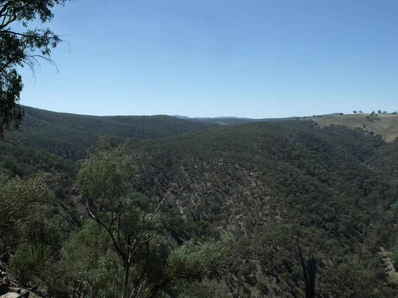 Larapinta  Tee Tree Road, Lyndhurst NSW 2797