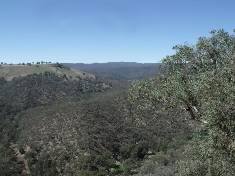 Larapinta  Tee Tree Road, Lyndhurst NSW 2797