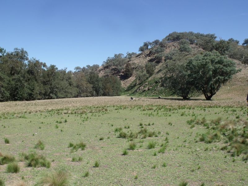 Larapinta  Tee Tree Road, Lyndhurst NSW 2797