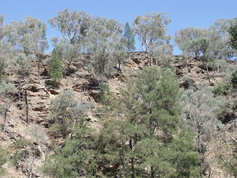 Larapinta  Tee Tree Road, Lyndhurst NSW 2797