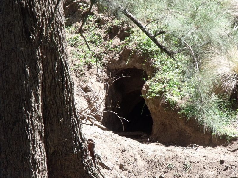 Larapinta  Tee Tree Road, Lyndhurst NSW 2797