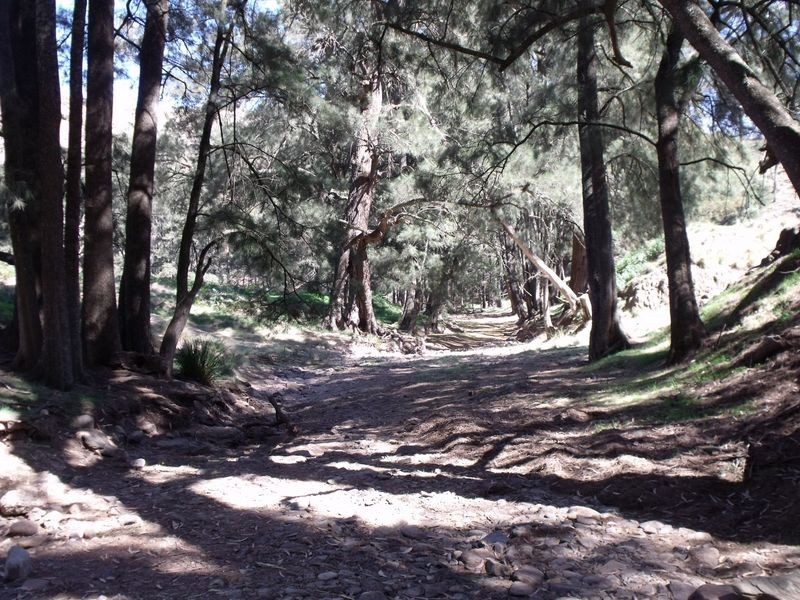 Larapinta  Tee Tree Road, Lyndhurst NSW 2797