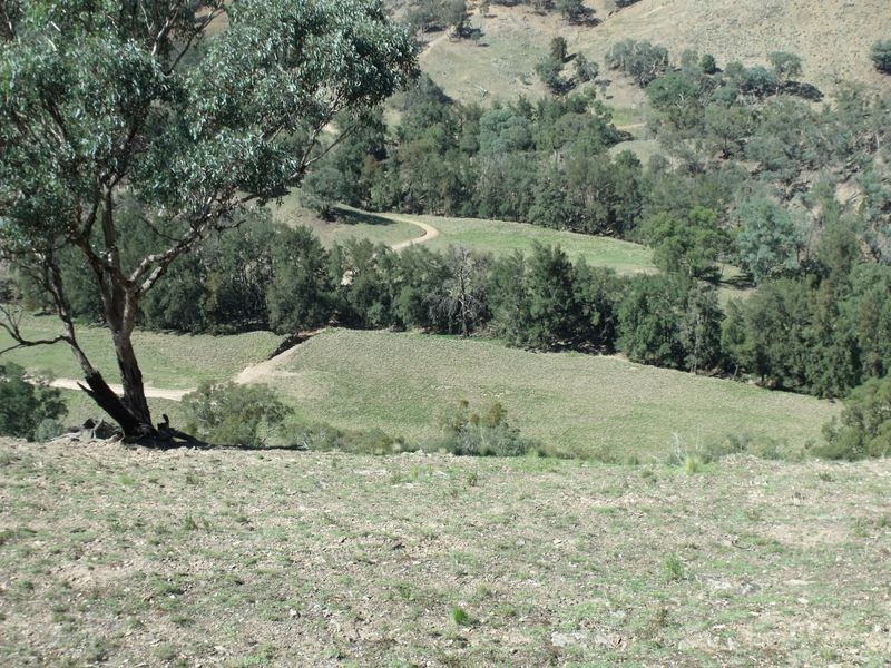 Larapinta  Tee Tree Road, Lyndhurst NSW 2797