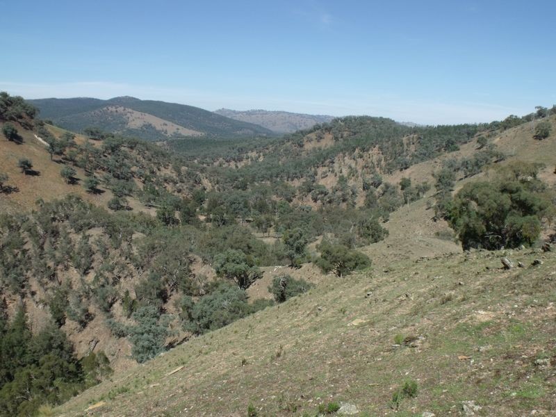 Larapinta  Tee Tree Road, Lyndhurst NSW 2797