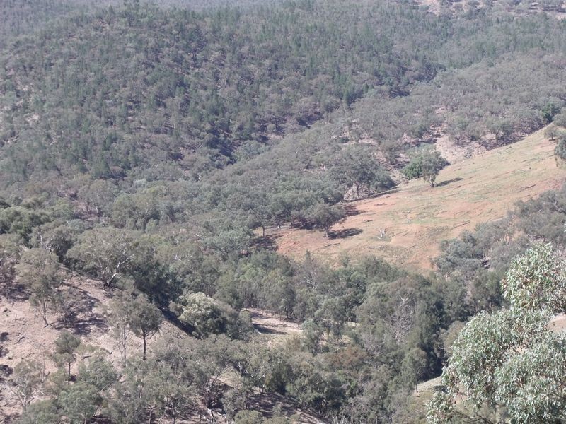 Larapinta  Tee Tree Road, Lyndhurst NSW 2797