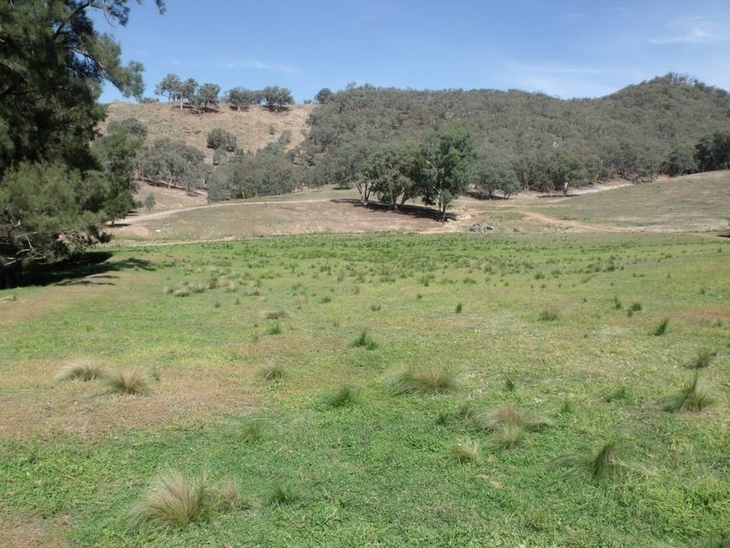 Larapinta  Tee Tree Road, Lyndhurst NSW 2797