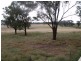 Bydawhile  Forbes Road, Cowra NSW 2794