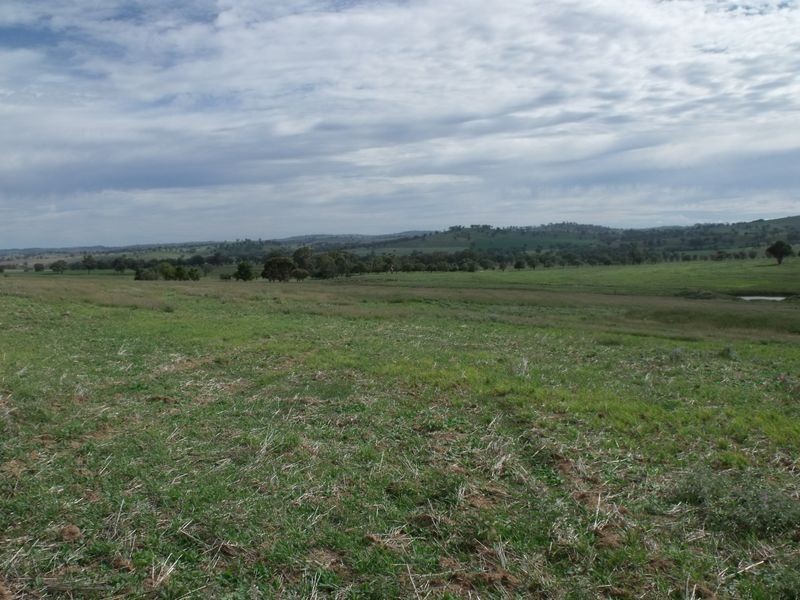 L 4 – 594 Pinemount Road, Cowra NSW 2794