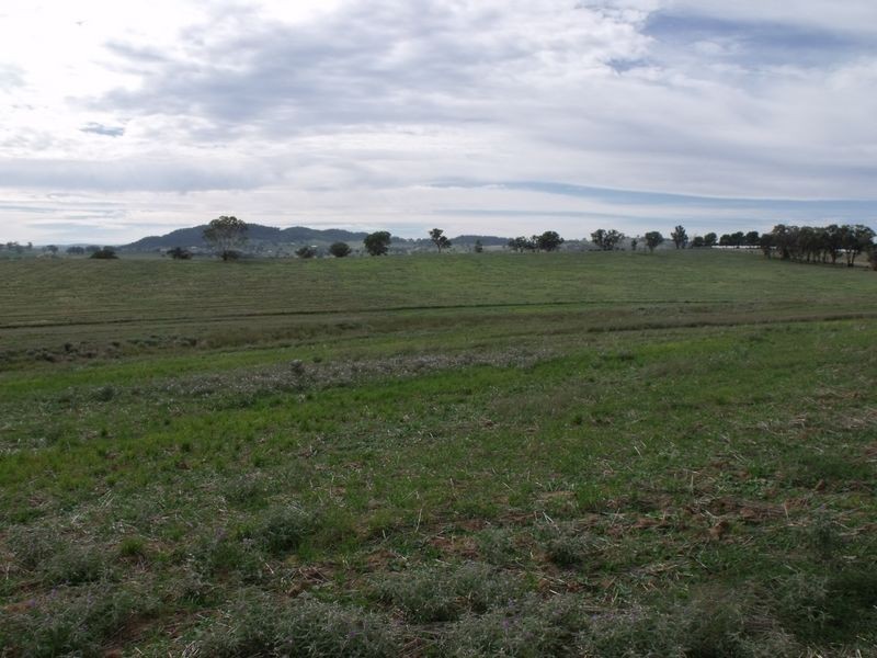 L 4 – 594 Pinemount Road, Cowra NSW 2794