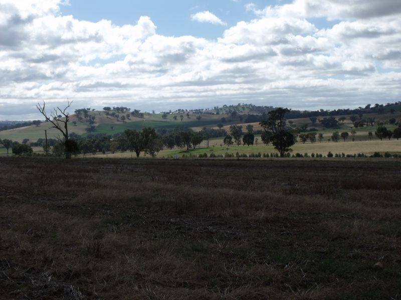 Lot 2 – 59 Pinemount Road, Cowra NSW 2794