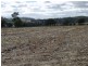 Lot 3 – 59 Pinemount Road, Cowra NSW 2794