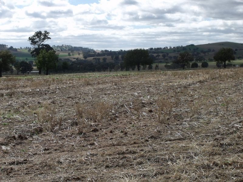 Lot 3 – 59 Pinemount Road, Cowra NSW 2794