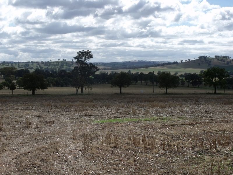 Lot 3 – 59 Pinemount Road, Cowra NSW 2794