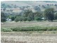 Glenville Pinemount Road, Cowra NSW 2794