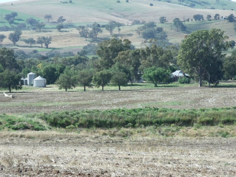 Glenville Pinemount Road, Cowra NSW 2794
