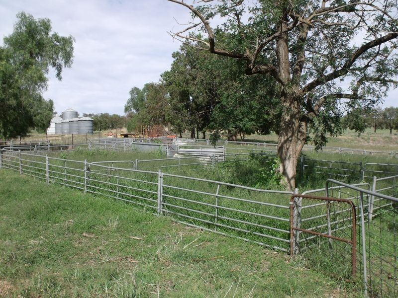 Glenville Pinemount Road, Cowra NSW 2794