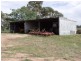 Glenville Pinemount Road, Cowra NSW 2794