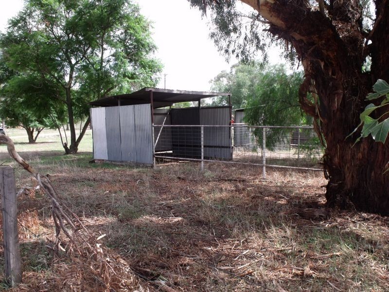 Glenville Pinemount Road, Cowra NSW 2794