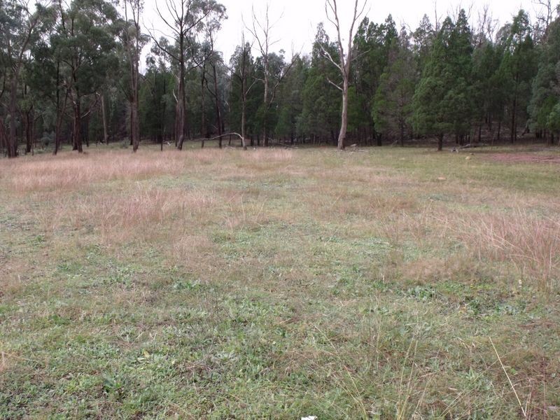 1642 Kangarooby Road, Cowra NSW 2794