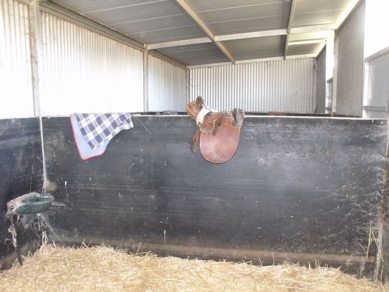 7 Waddell Street, Wattamondara NSW 2794