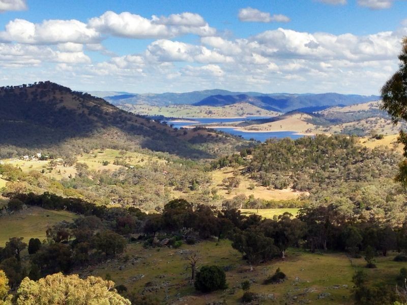 Black Pine Clements Road, Woodstock NSW 2793