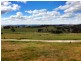 Black Pine Clements Road, Woodstock NSW 2793