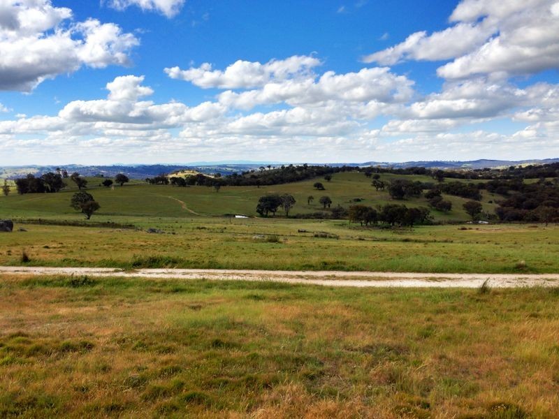 Black Pine Clements Road, Woodstock NSW 2793