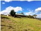 Black Pine Clements Road, Woodstock NSW 2793