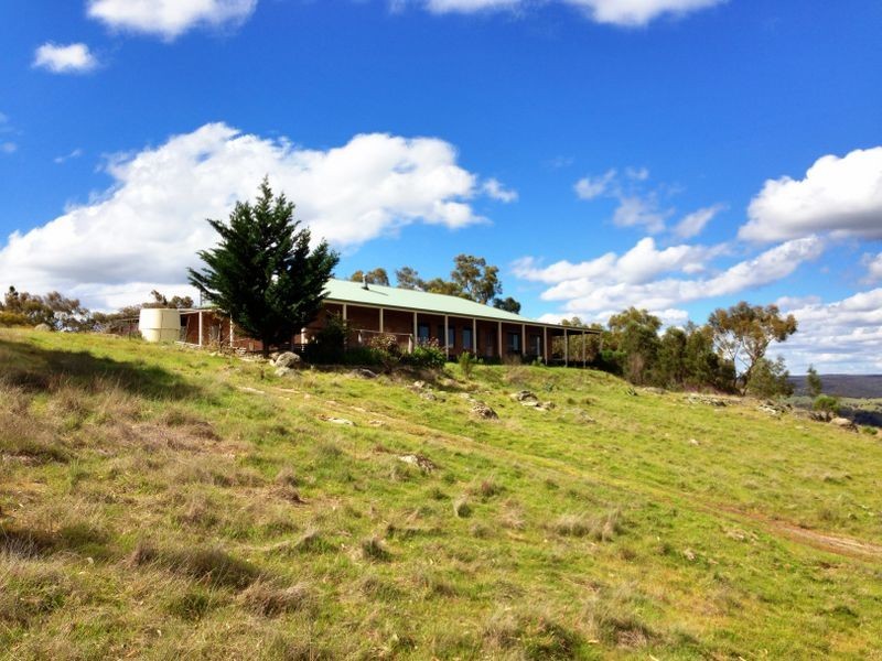 Black Pine Clements Road, Woodstock NSW 2793