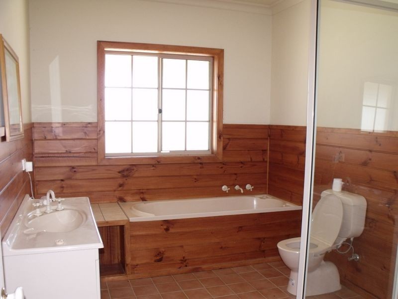 Black Pine Clements Road, Woodstock NSW 2793