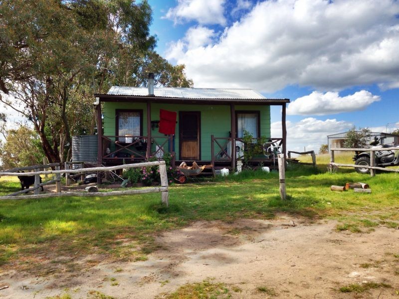 Black Pine Clements Road, Woodstock NSW 2793