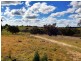 Black Pine Clements Road, Woodstock NSW 2793
