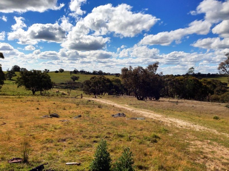 Black Pine Clements Road, Woodstock NSW 2793