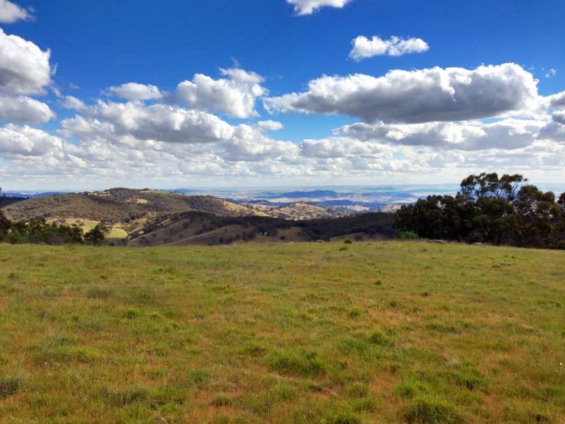 Black Pine Clements Road, Woodstock NSW 2793